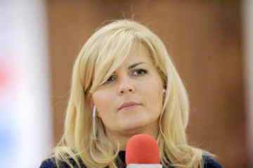 Plenul Camerei decide luni în legătură cu cererea de arestare a Elenei Udrea